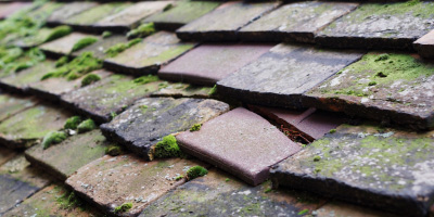 Little Maplestead roof repair costs